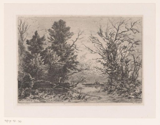 Forest Landscape Around a Large Pond with a Rowing Boat on It