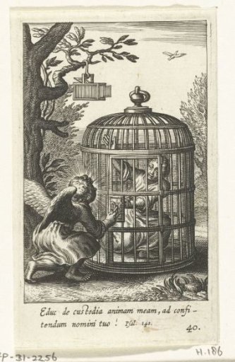 Angel frees child from captivity in a cage