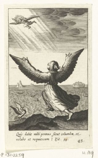Child with wings tries to fly