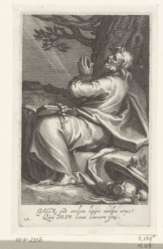Saint Gallatius of Helvetia as a hermit