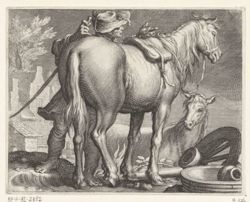 Horses