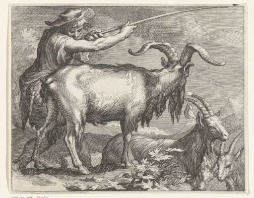 Goatherd with goats