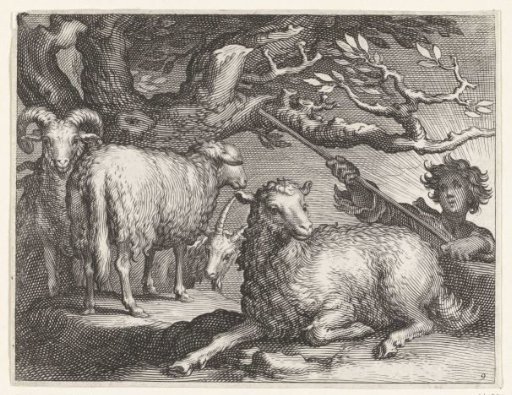 Shepherd with sheep