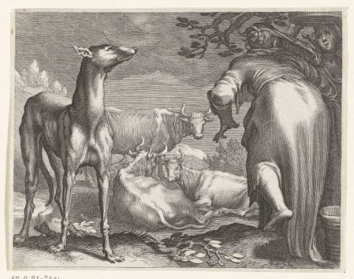 Two women and a dog with cows