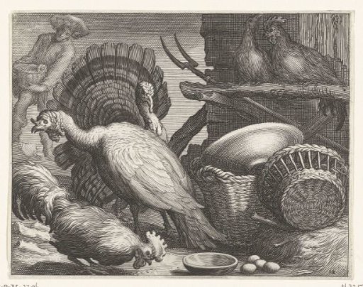 Chickens and turkeys
