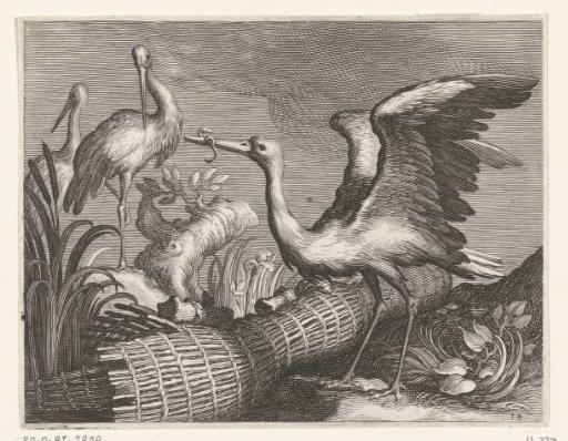 Storks