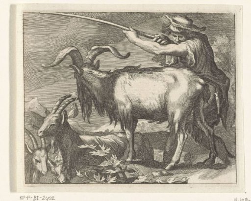 Goatherd with goats