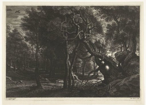 Forest landscape with hunter