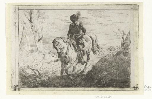 Rider