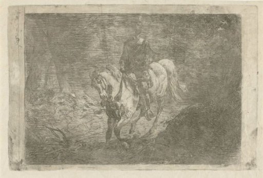 Rider
