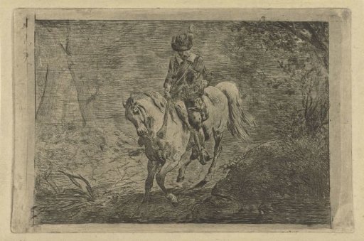 Rider
