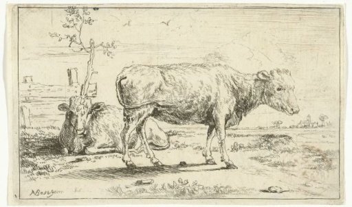Two calves