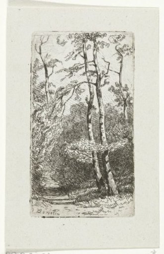 Landscape with birches