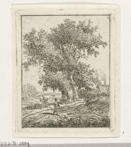 Walker by a large tree