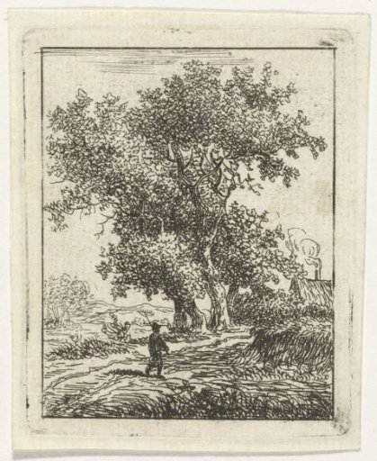 Walker by a large tree