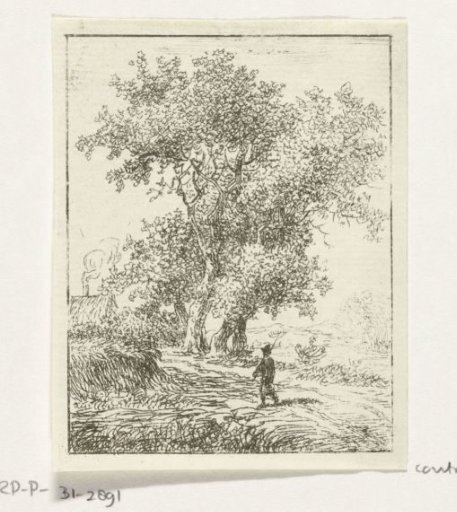 Walker by a large tree