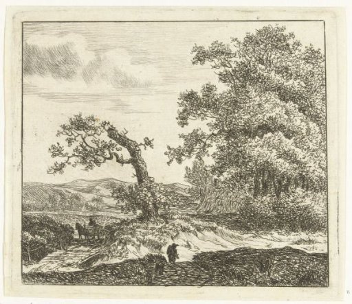 Walker in the dunes outside Haarlem