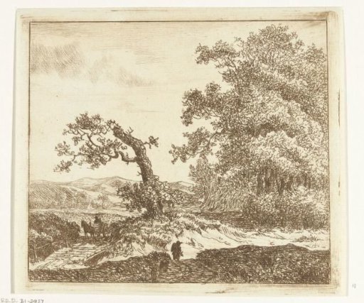 Walker in the dunes outside Haarlem