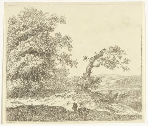 Walker in the dunes outside Haarlem