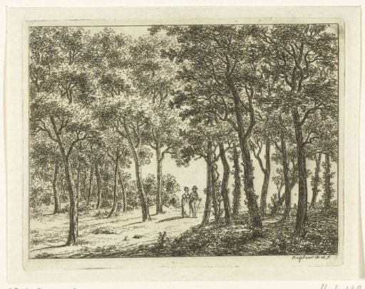 Walking couple in the forest