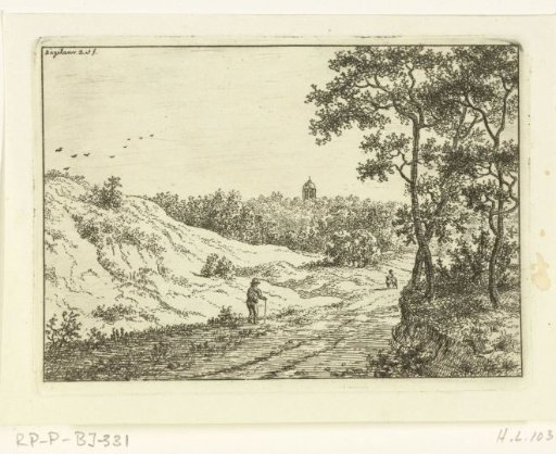 Dune landscape with walker near Bloemendaal