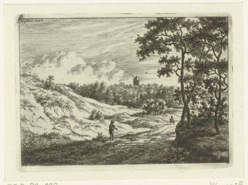Dune landscape with walker near Bloemendaal