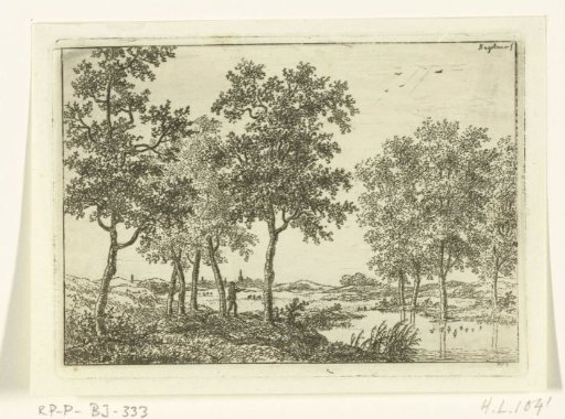 Landscape with hunter shooting at wild ducks