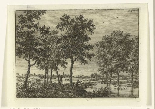 Landscape with hunter shooting at wild ducks