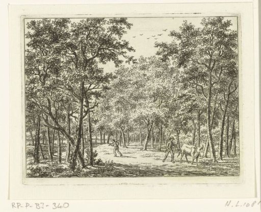 Shepherd with cow in the forest