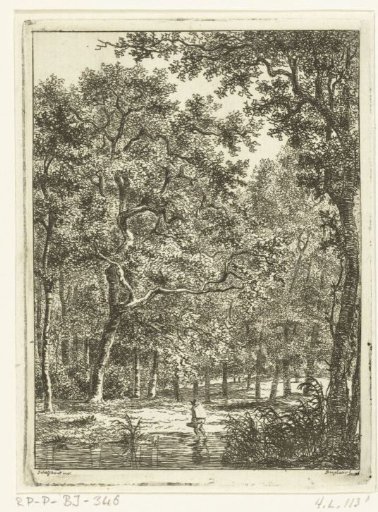 Forest landscape with man wading through water