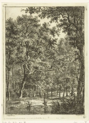 Forest landscape with man wading through water