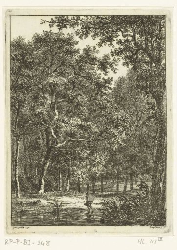 Forest landscape with man wading through water