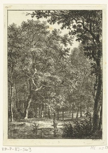 Forest landscape with man wading through water