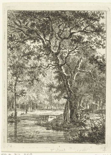 Forest landscape with man and dog near a bridge