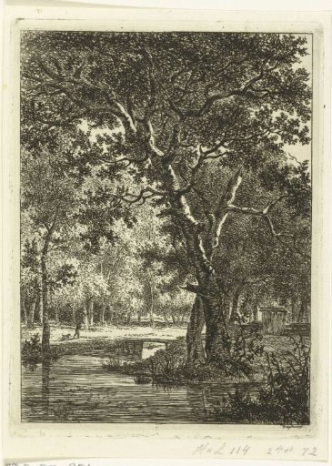 Forest landscape with man and dog near a bridge