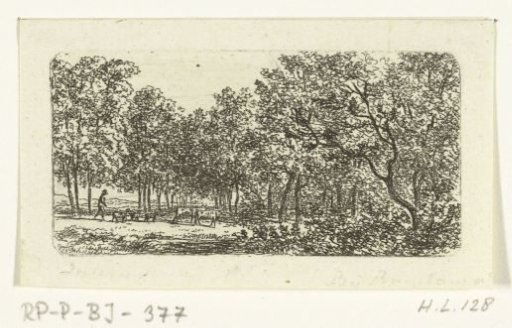 Forest view with shepherd and cattle