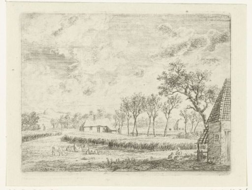Landscape with a cornfield and pasture with sheep