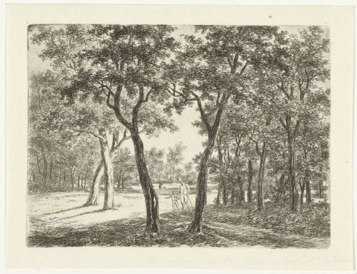 Forest landscape with a man and a boy