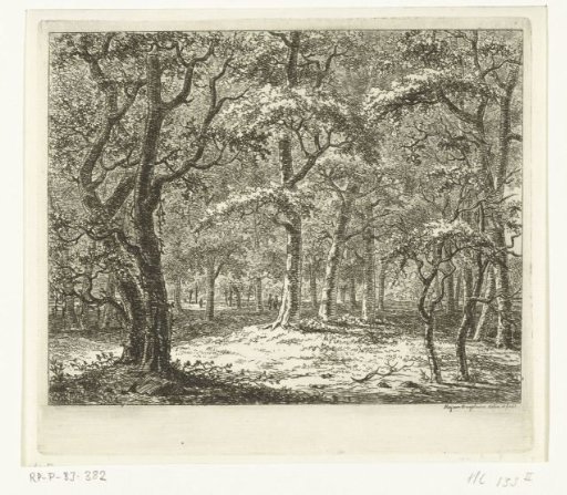 Clearing in the forest