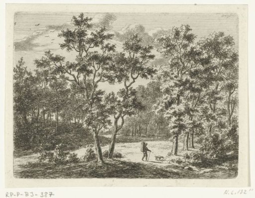Forest landscape with a pedestrian and a dog