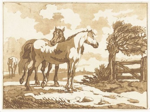 Horses