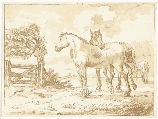 Horses