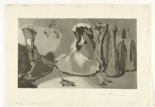 Bones washed ashore