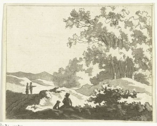 Dune landscape