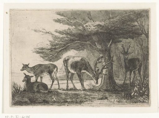 Forest edge with deer