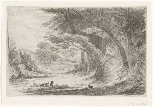Forest edge with rabbits