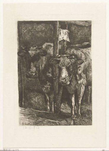 Two Cows in the Stable