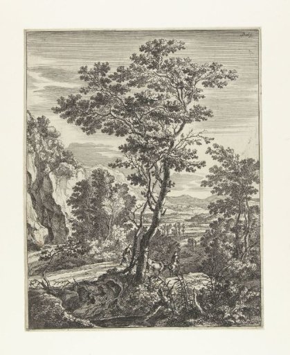 Landscape with a large tree