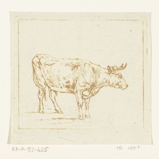 Bull Standing, Facing Right