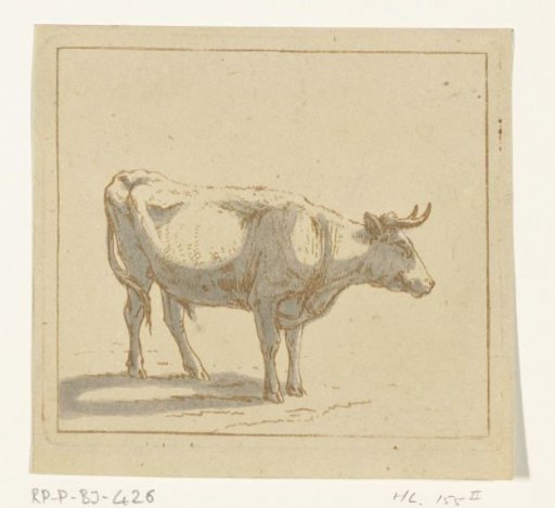 Bull Standing, Facing Right